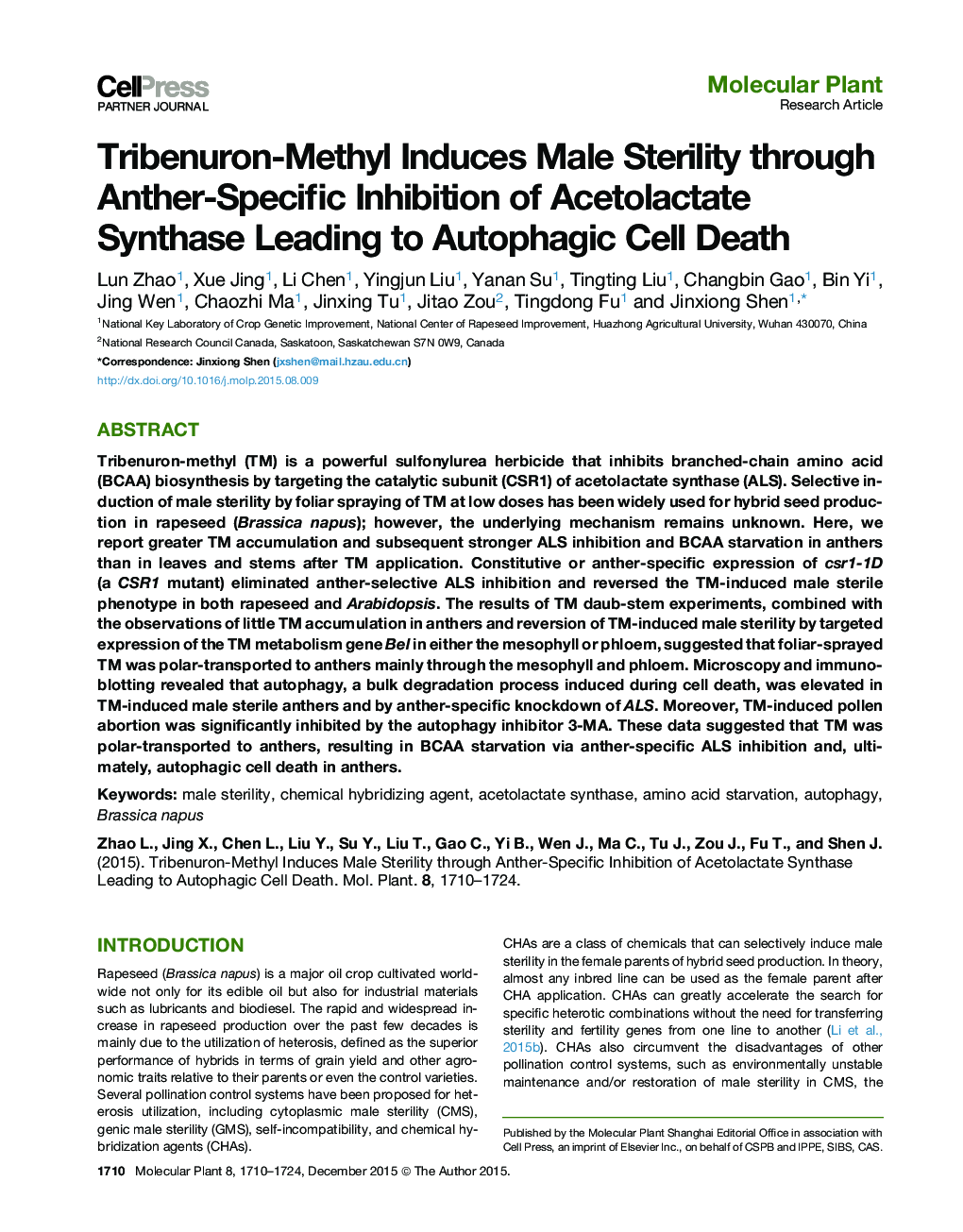 Tribenuron-Methyl Induces Male Sterility through Anther-Specific Inhibition of Acetolactate Synthase Leading to Autophagic Cell Death 