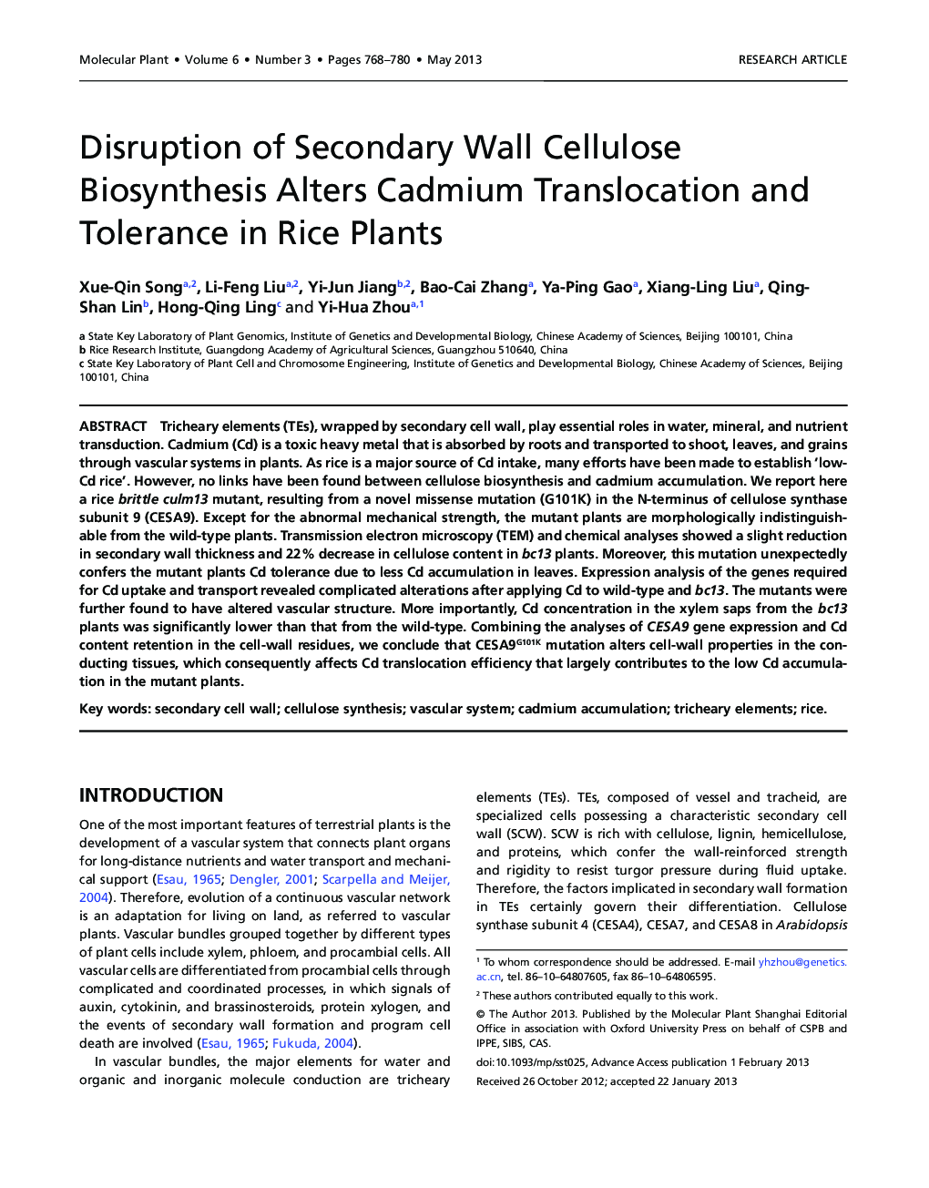 Disruption of Secondary Wall Cellulose Biosynthesis Alters Cadmium Translocation and Tolerance in Rice Plants 