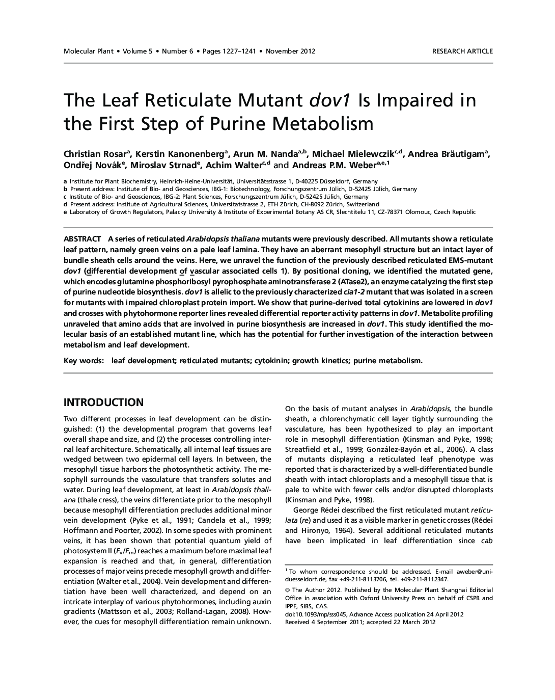 The Leaf Reticulate Mutant dov1 Is Impaired in the First Step of Purine Metabolism 