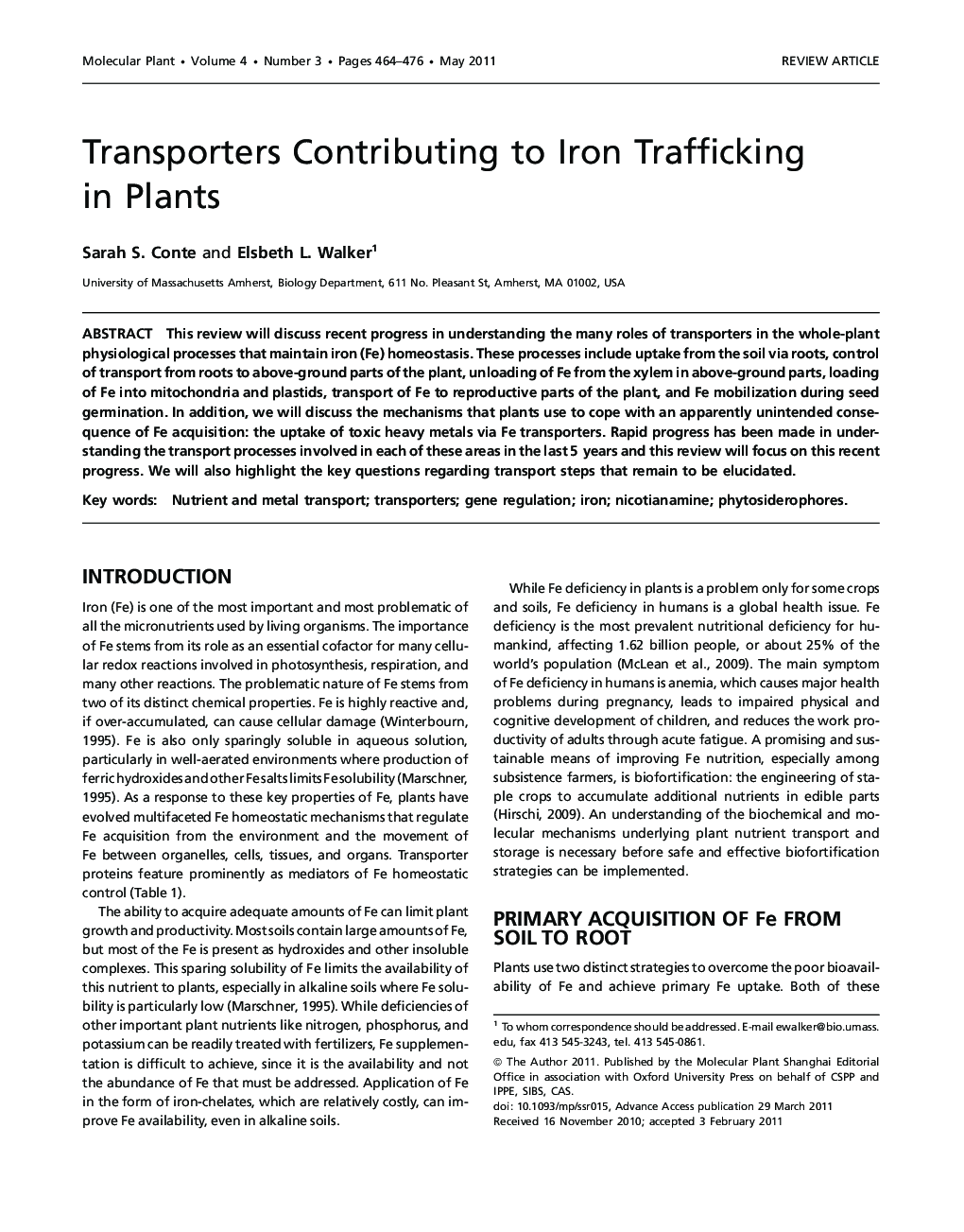 Transporters Contributing to Iron Trafficking in Plants 