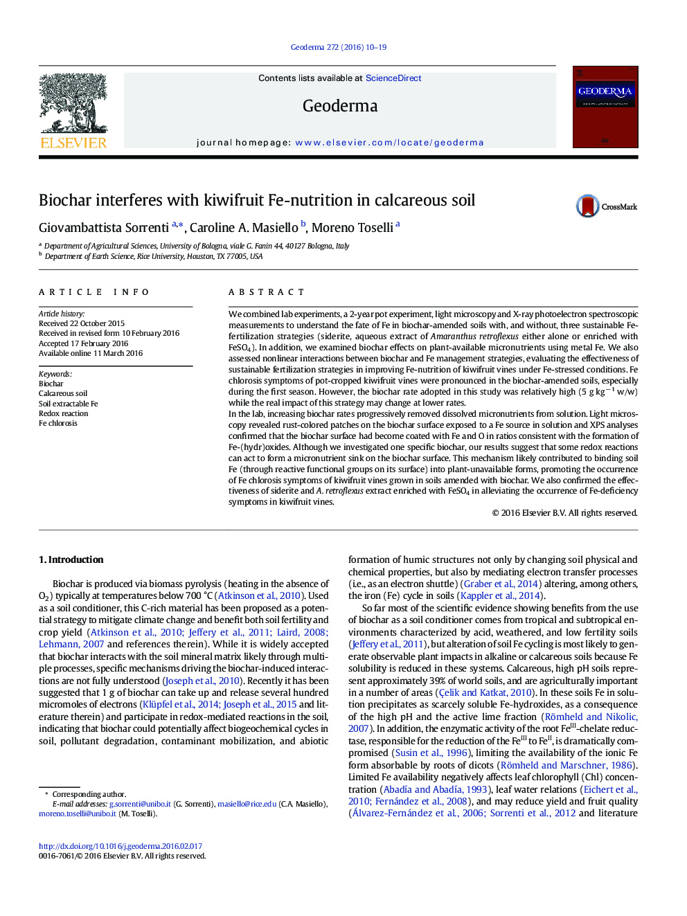 Biochar interferes with kiwifruit Fe-nutrition in calcareous soil