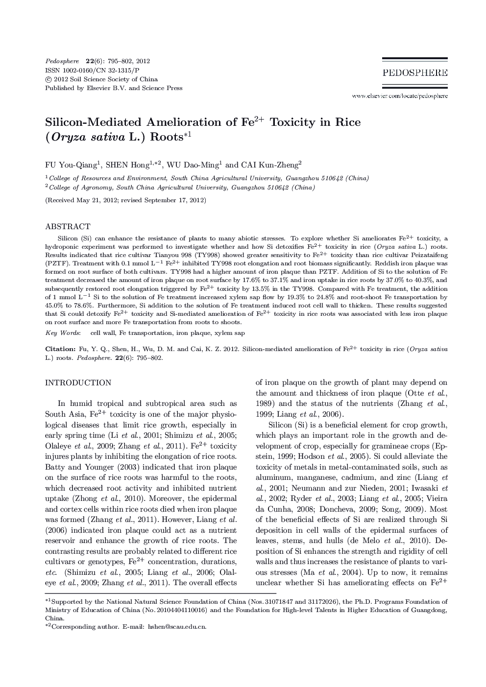 Silicon-Mediated Amelioration of Fe2+ Toxicity in Rice (Oryza sativa L.) Roots 