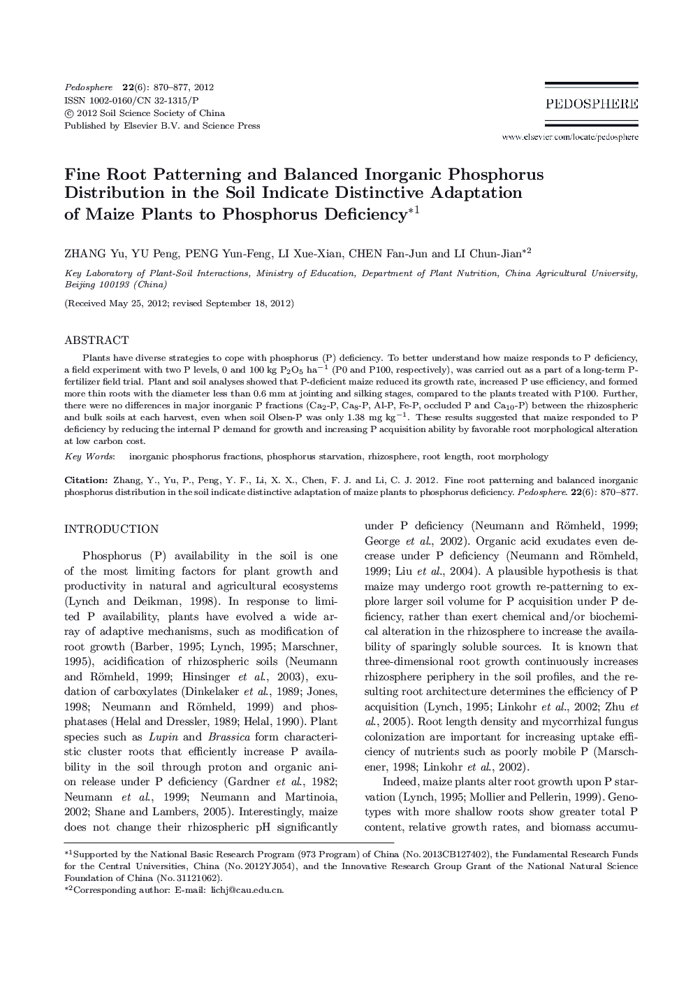 Fine Root Patterning and Balanced Inorganic Phosphorus Distribution in the Soil Indicate Distinctive Adaptation of Maize Plants to Phosphorus Deficiency 