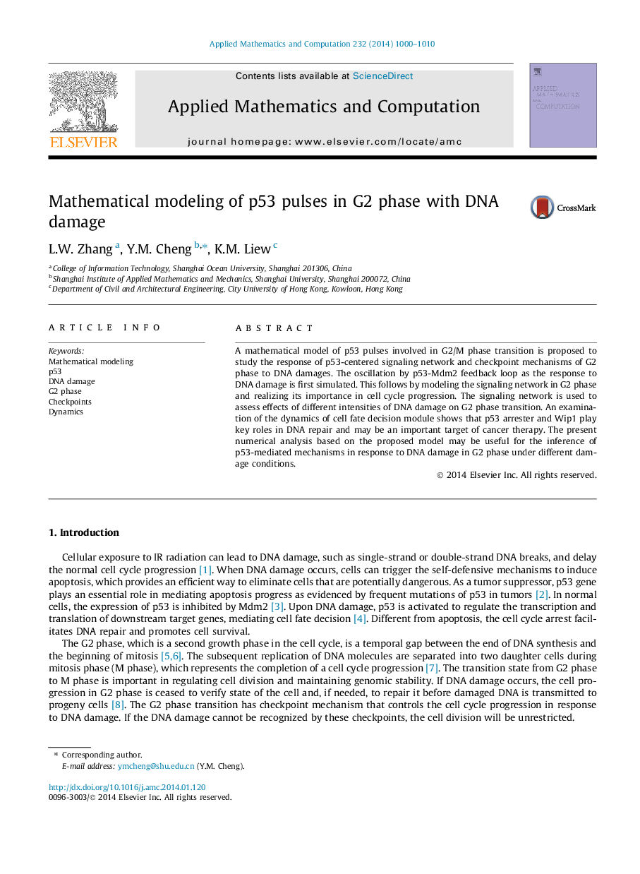 Mathematical modeling of p53 pulses in G2 phase with DNA damage