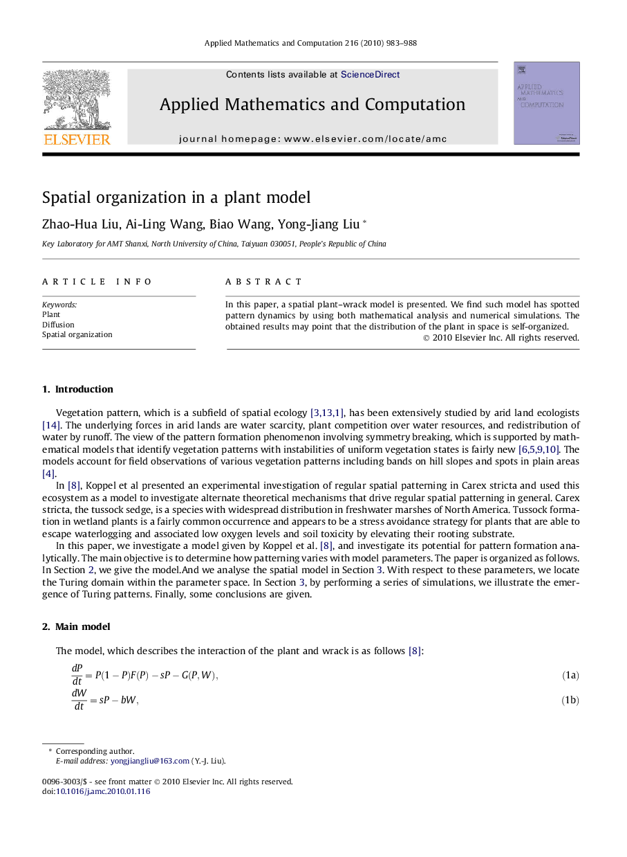 Spatial organization in a plant model