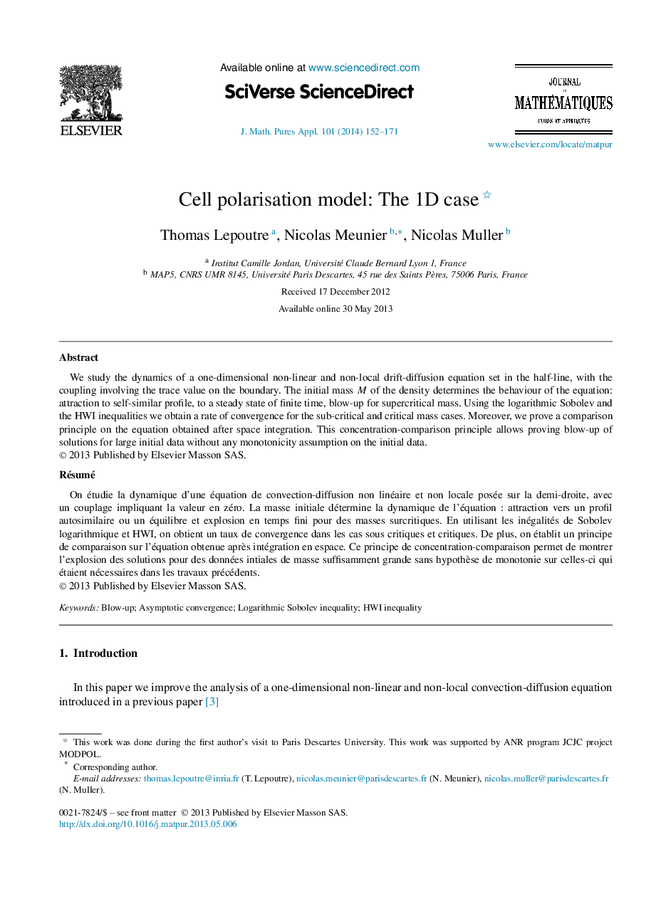 Cell polarisation model: The 1D case 