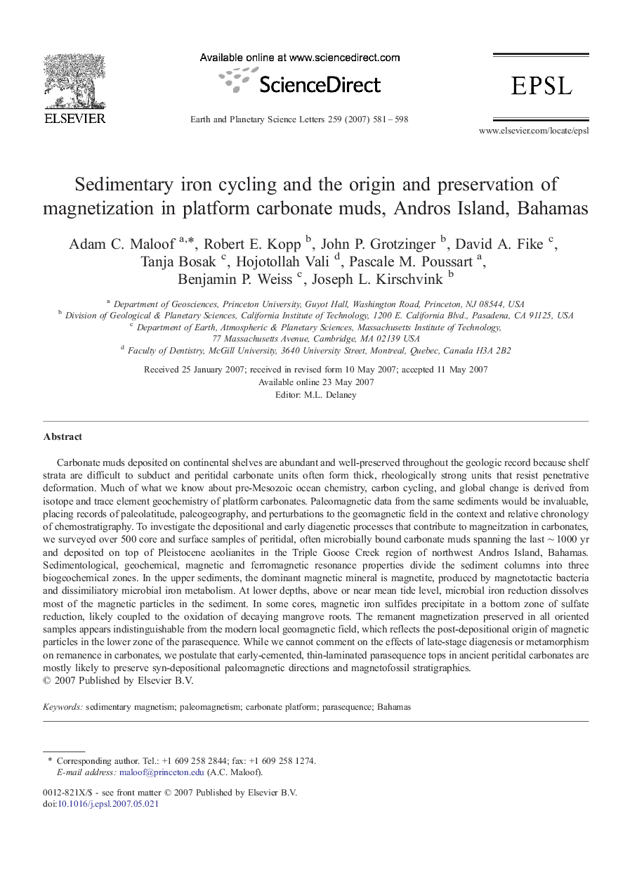 Sedimentary iron cycling and the origin and preservation of magnetization in platform carbonate muds, Andros Island, Bahamas