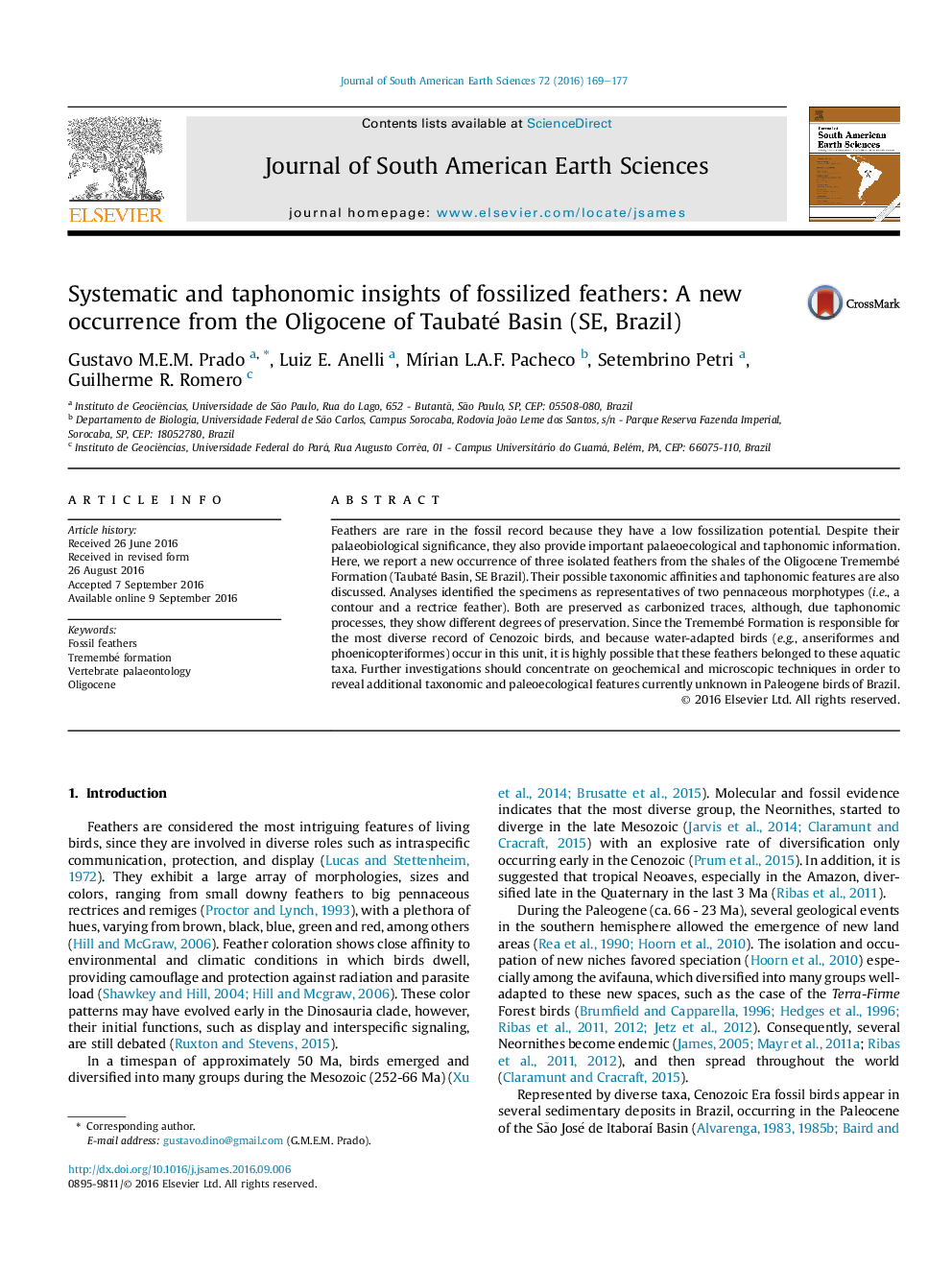 Systematic and taphonomic insights of fossilized feathers: A new occurrence from the Oligocene of Taubaté Basin (SE, Brazil)