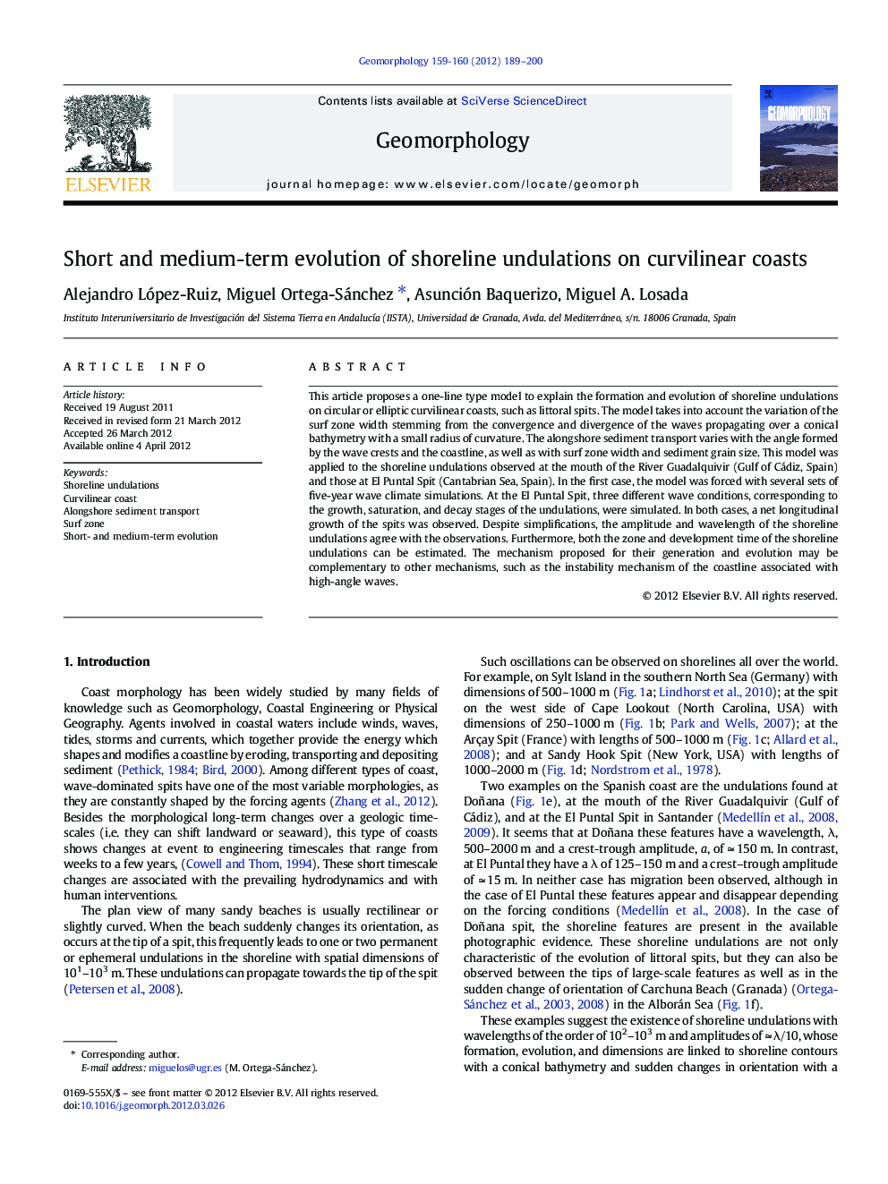 Short and medium-term evolution of shoreline undulations on curvilinear coasts