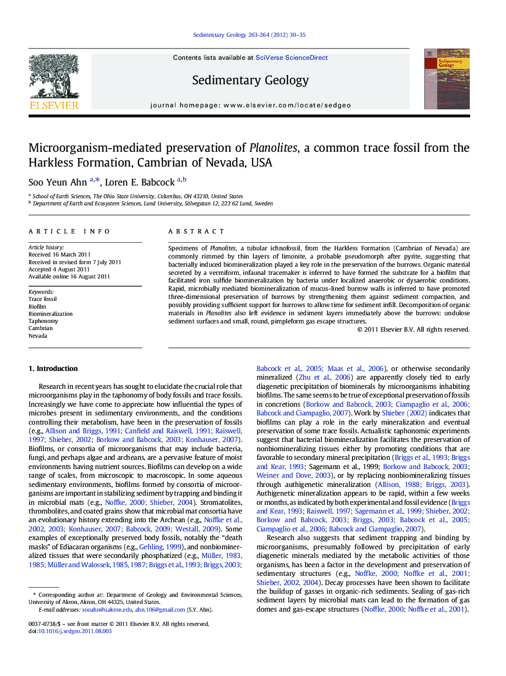 Microorganism-mediated preservation of Planolites, a common trace fossil from the Harkless Formation, Cambrian of Nevada, USA