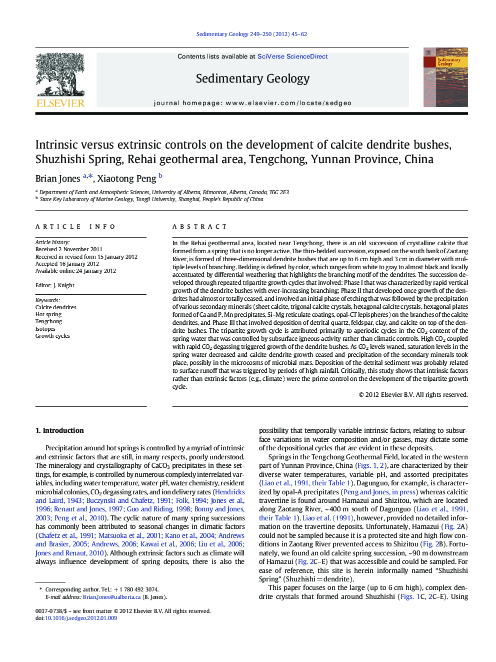 Intrinsic versus extrinsic controls on the development of calcite dendrite bushes, Shuzhishi Spring, Rehai geothermal area, Tengchong, Yunnan Province, China