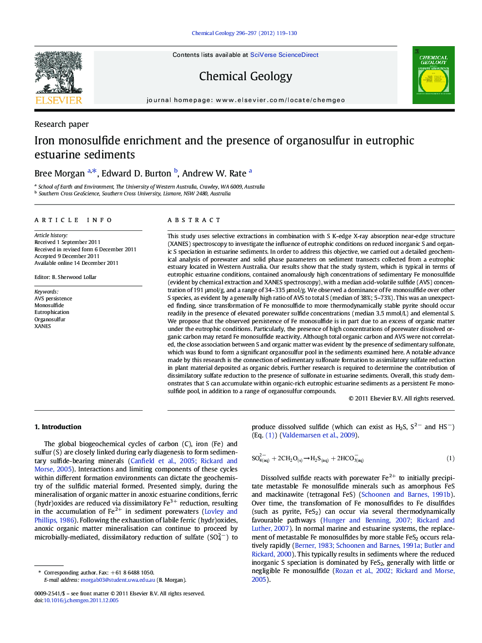 Iron monosulfide enrichment and the presence of organosulfur in eutrophic estuarine sediments