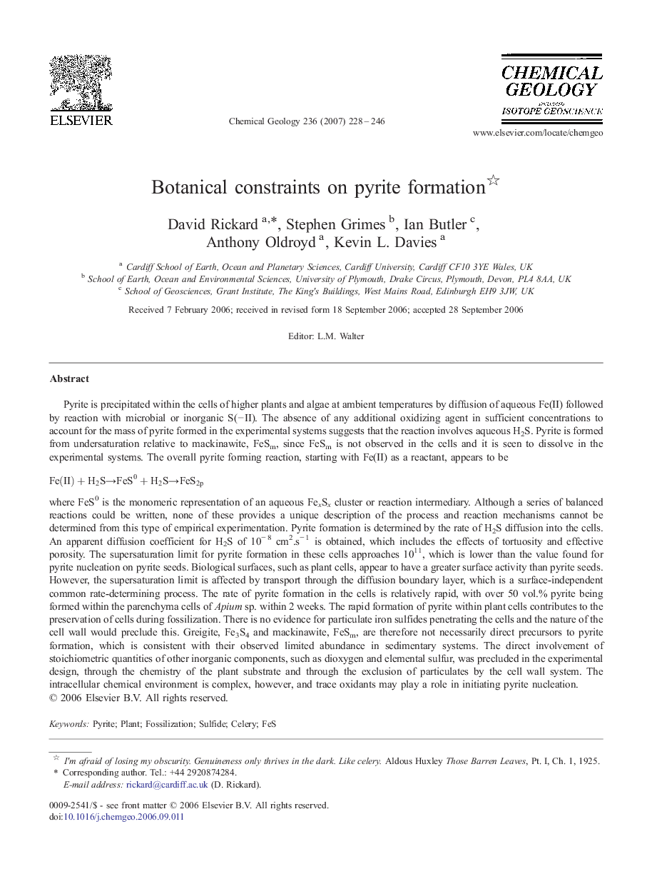 Botanical constraints on pyrite formation 