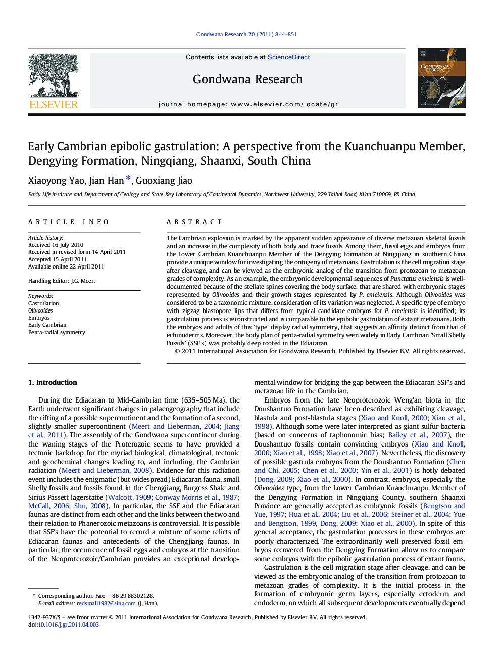 Early Cambrian epibolic gastrulation: A perspective from the Kuanchuanpu Member, Dengying Formation, Ningqiang, Shaanxi, South China
