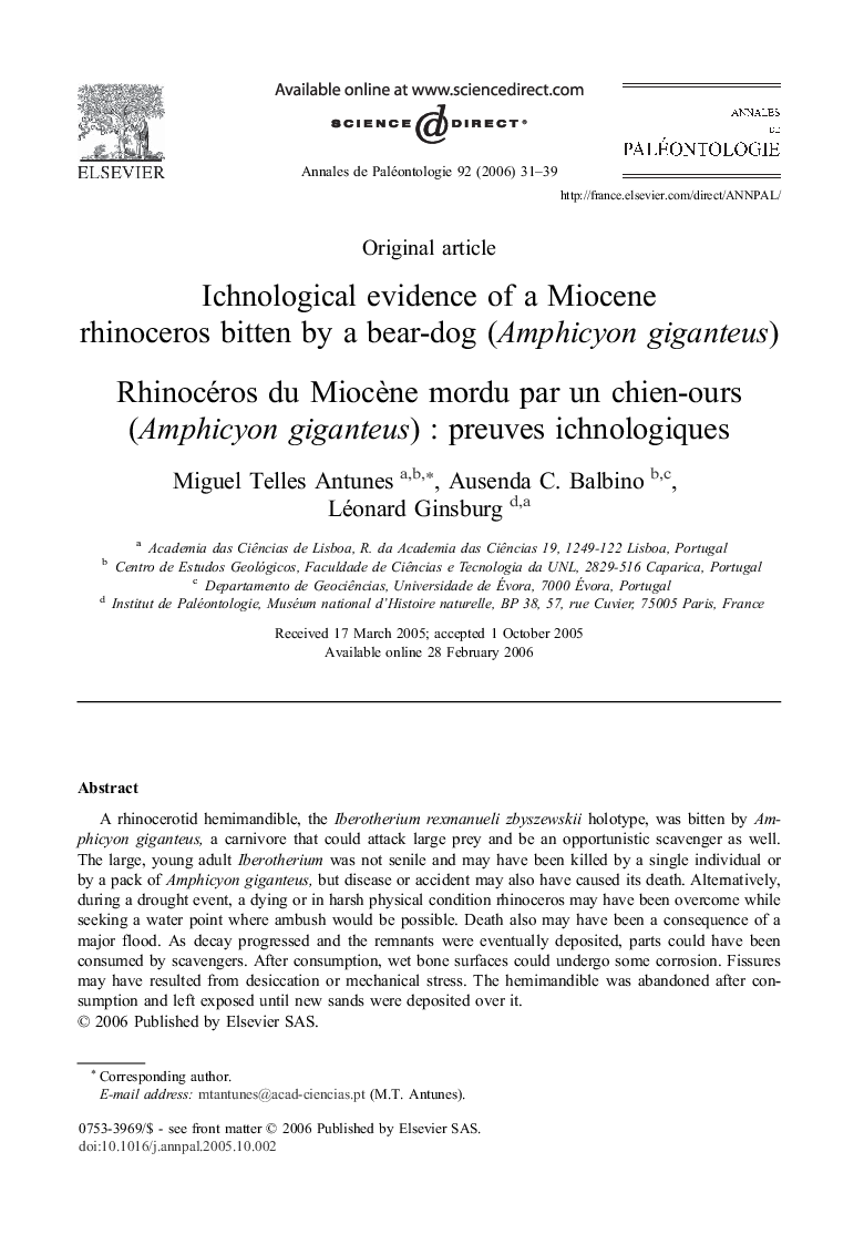 Ichnological evidence of a Miocene rhinoceros bitten by a bear-dog (Amphicyon giganteus)