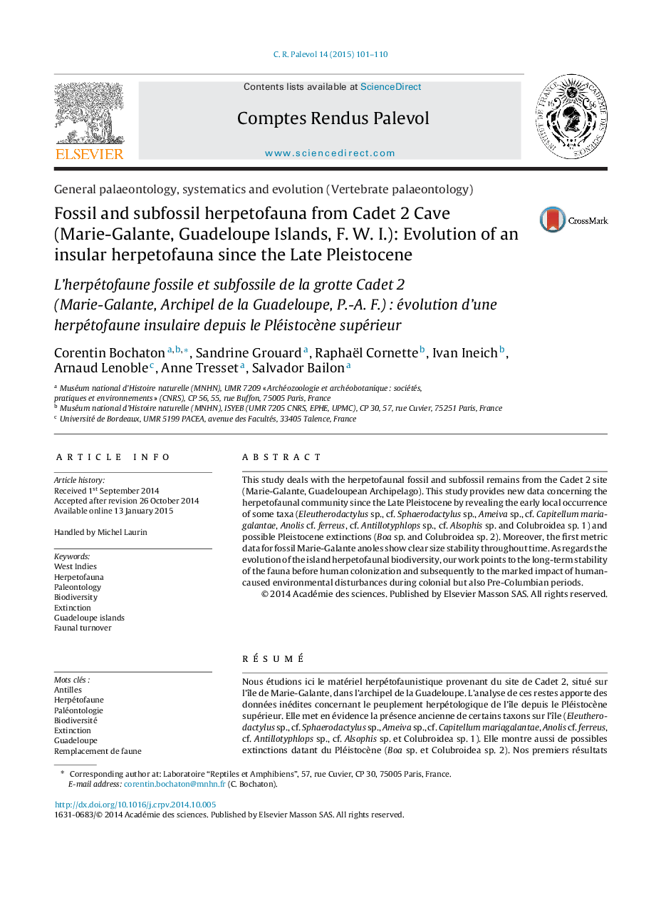 Fossil and subfossil herpetofauna from Cadet 2 Cave (Marie-Galante, Guadeloupe Islands, F. W. I.): Evolution of an insular herpetofauna since the Late Pleistocene