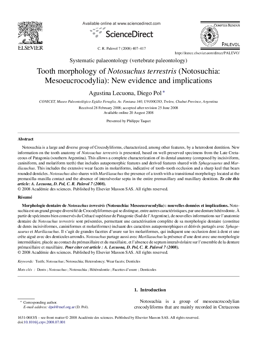 Tooth morphology of Notosuchus terrestris (Notosuchia: Mesoeucrocodylia): New evidence and implications