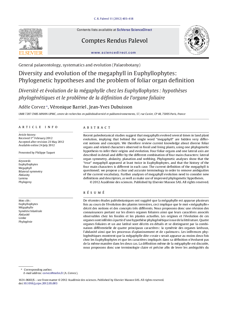 Diversity and evolution of the megaphyll in Euphyllophytes: Phylogenetic hypotheses and the problem of foliar organ definition