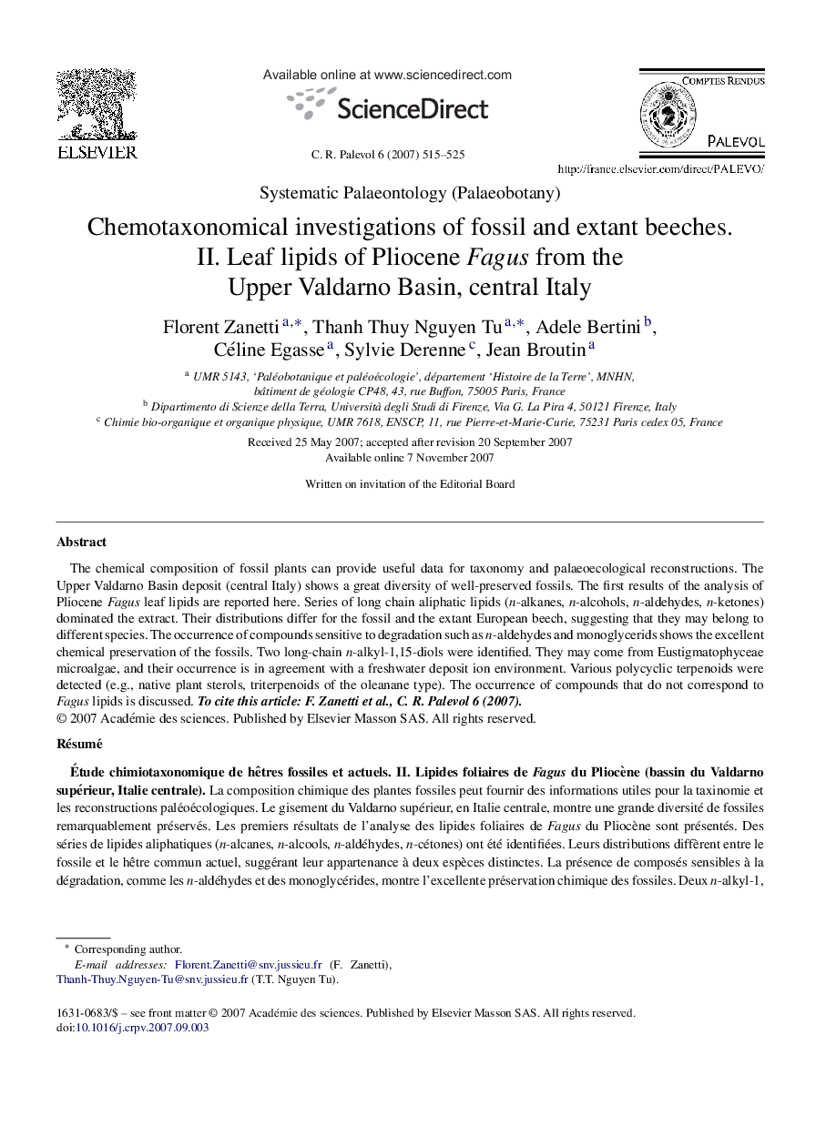 Chemotaxonomical investigations of fossil and extant beeches. II. Leaf lipids of Pliocene Fagus from the Upper Valdarno Basin, central Italy