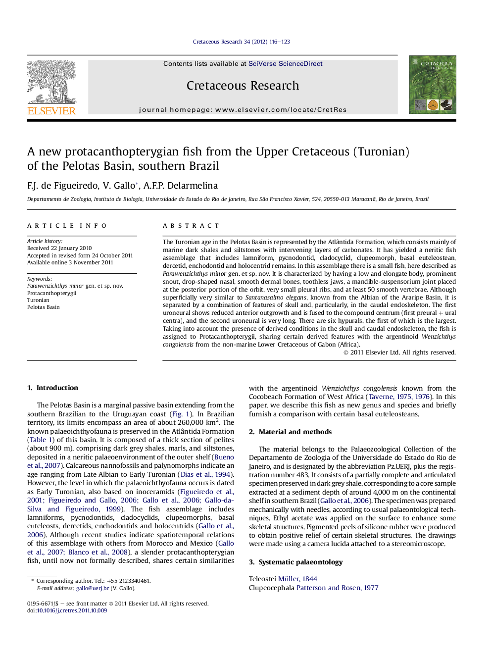 A new protacanthopterygian fish from the Upper Cretaceous (Turonian) of the Pelotas Basin, southern Brazil