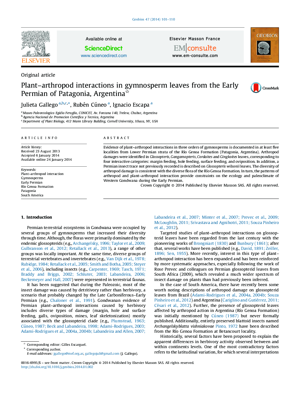 Plant–arthropod interactions in gymnosperm leaves from the Early Permian of Patagonia, Argentina 