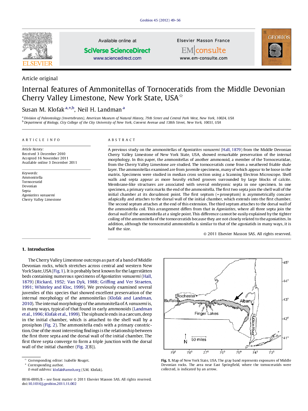 Internal features of Ammonitellas of Tornoceratids from the Middle Devonian Cherry Valley Limestone, New York State, USA 