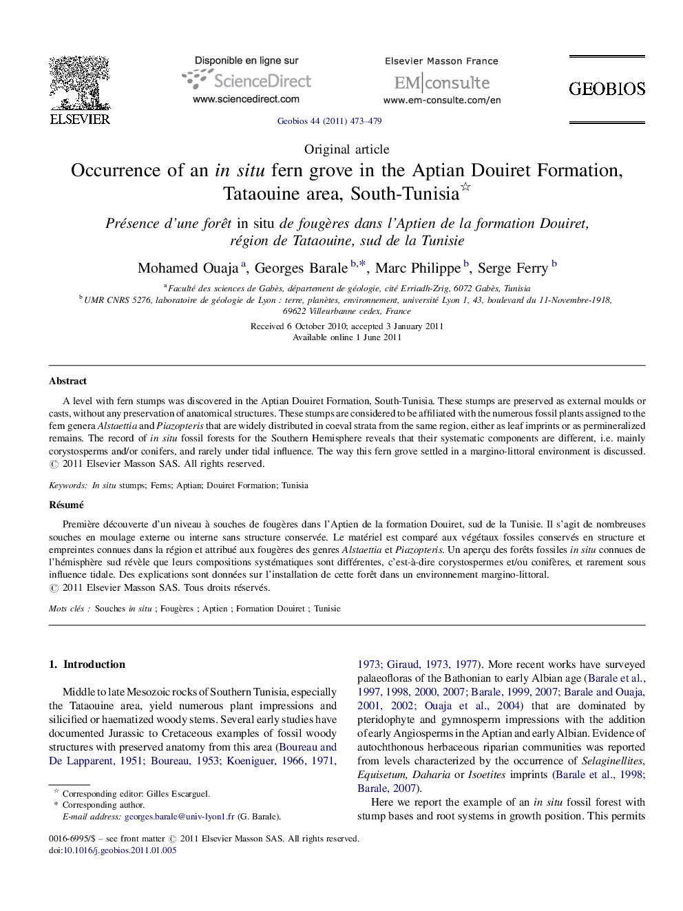 Occurrence of an in situ fern grove in the Aptian Douiret Formation, Tataouine area, South-Tunisia 