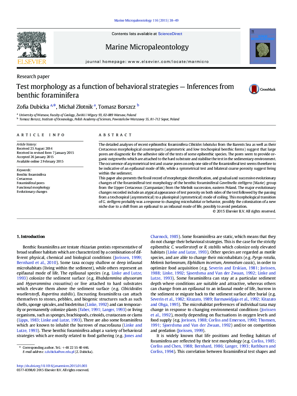 Test morphology as a function of behavioral strategies — Inferences from benthic foraminifera