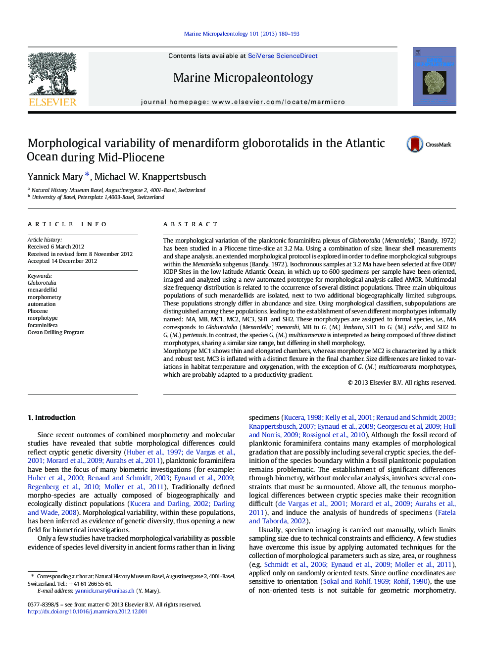 Morphological variability of menardiform globorotalids in the Atlantic Ocean during Mid-Pliocene