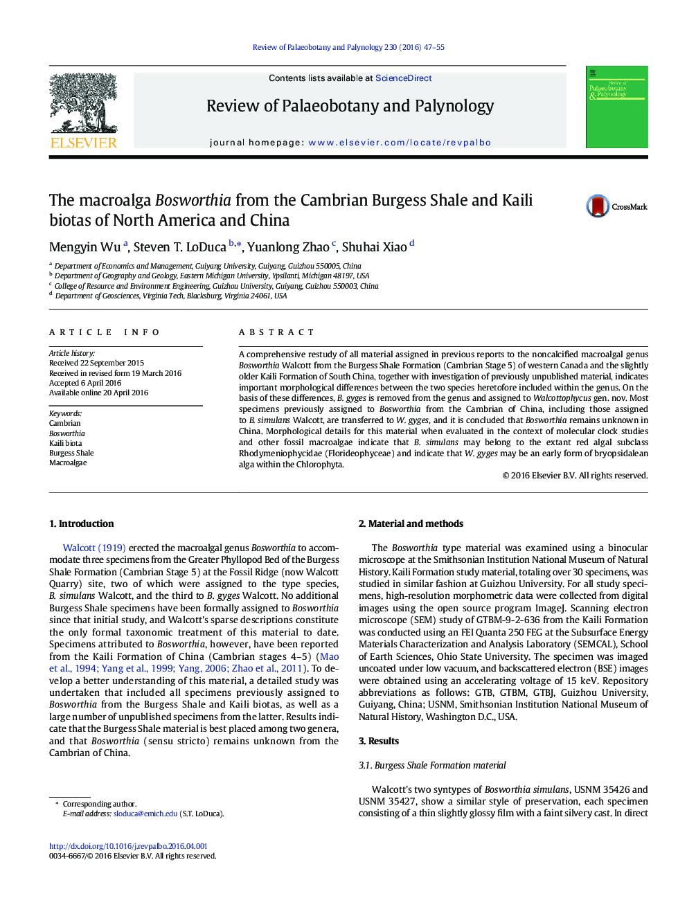 The macroalga Bosworthia from the Cambrian Burgess Shale and Kaili biotas of North America and China