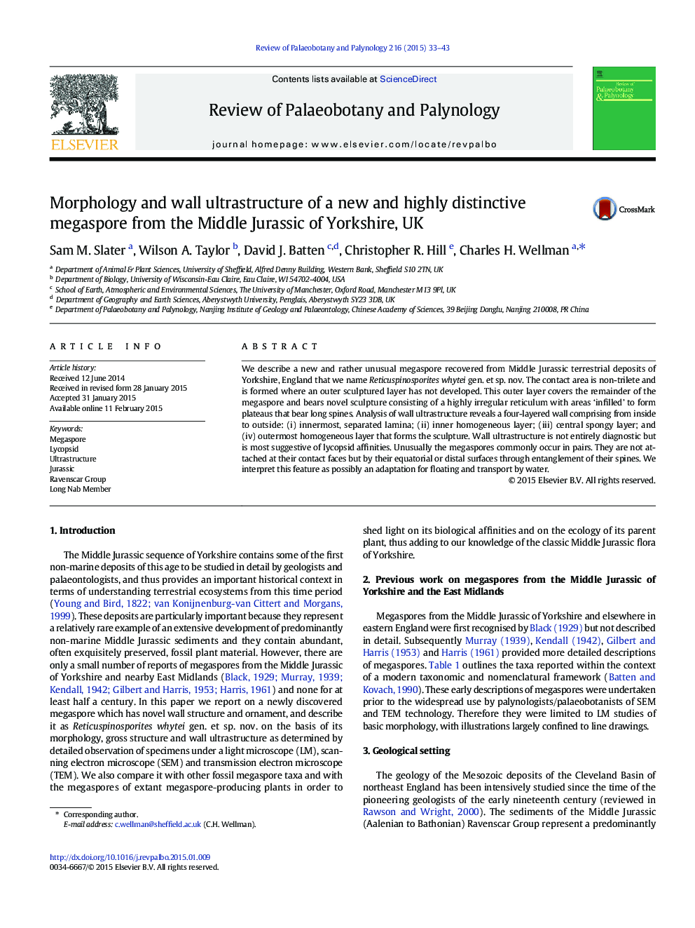 Morphology and wall ultrastructure of a new and highly distinctive megaspore from the Middle Jurassic of Yorkshire, UK