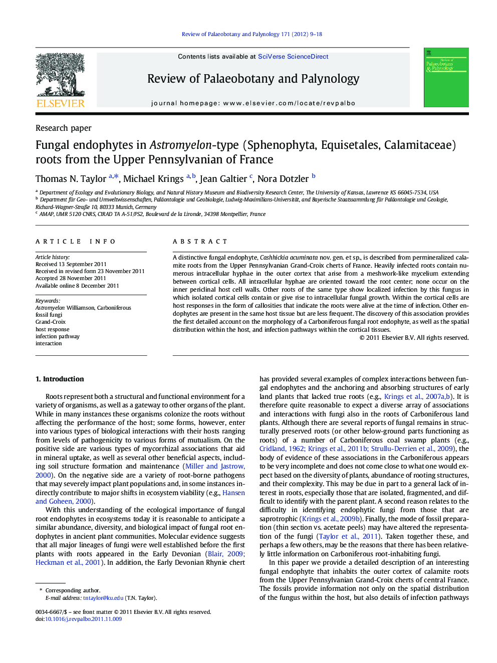 Fungal endophytes in Astromyelon-type (Sphenophyta, Equisetales, Calamitaceae) roots from the Upper Pennsylvanian of France