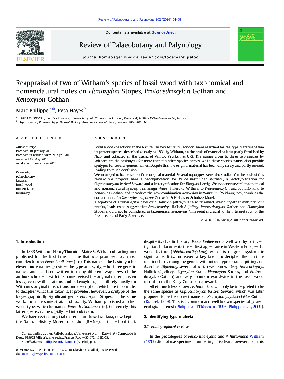 Reappraisal of two of Witham's species of fossil wood with taxonomical and nomenclatural notes on Planoxylon Stopes, Protocedroxylon Gothan and Xenoxylon Gothan