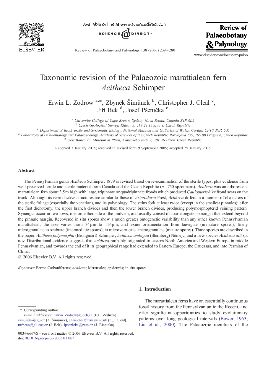 Taxonomic revision of the Palaeozoic marattialean fern Acitheca Schimper