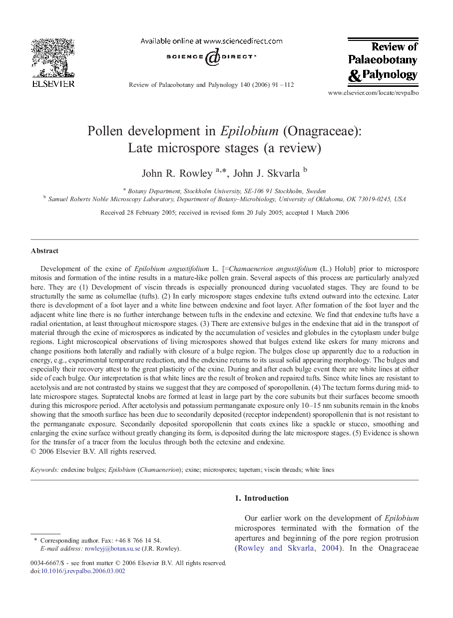 Pollen development in Epilobium (Onagraceae): Late microspore stages (a review)