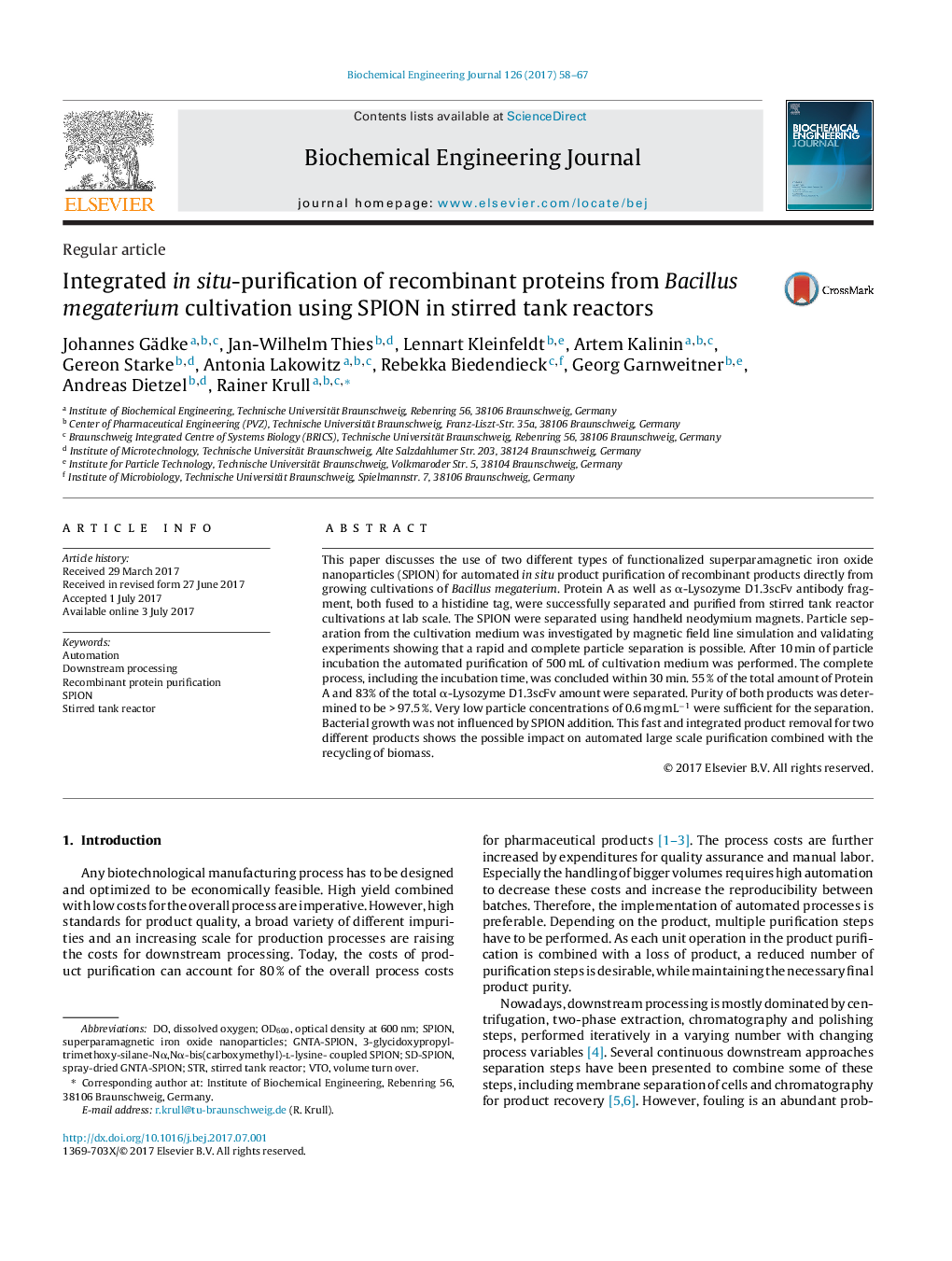 Regular articleIntegrated in situ-purification of recombinant proteins from Bacillus megaterium cultivation using SPION in stirred tank reactors