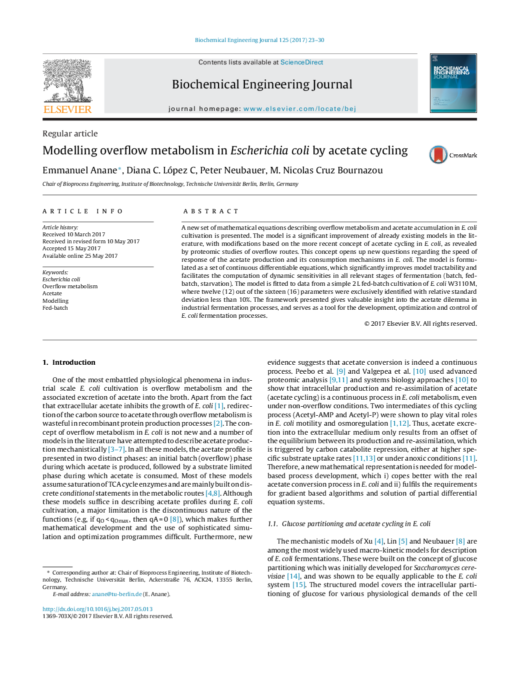 Regular articleModelling overflow metabolism in Escherichia coli by acetate cycling