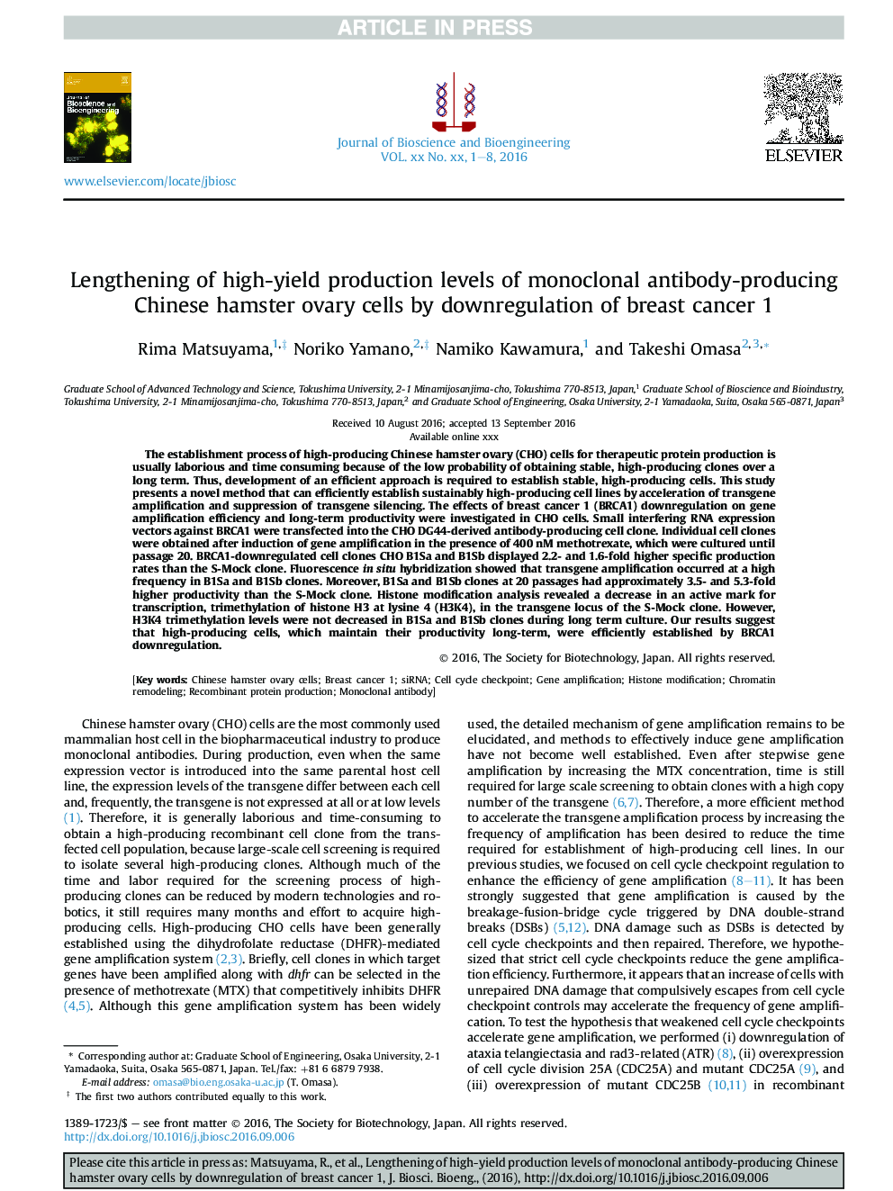 Lengthening of high-yield production levels of monoclonal antibody-producing Chinese hamster ovary cells by downregulation of breast cancer 1