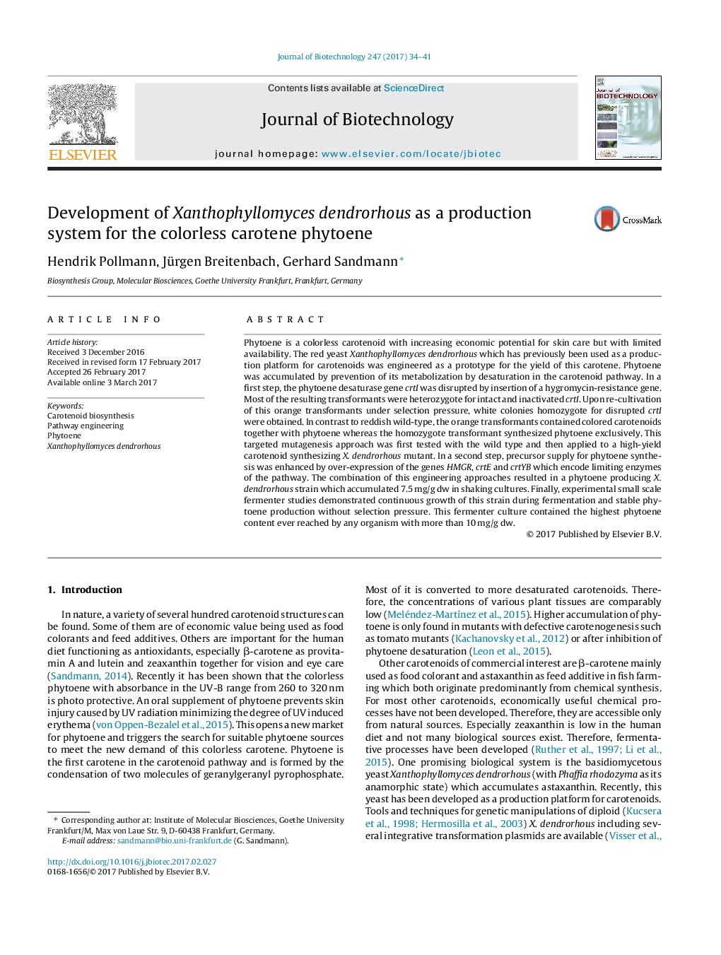 Development of Xanthophyllomyces dendrorhous as a production system for the colorless carotene phytoene