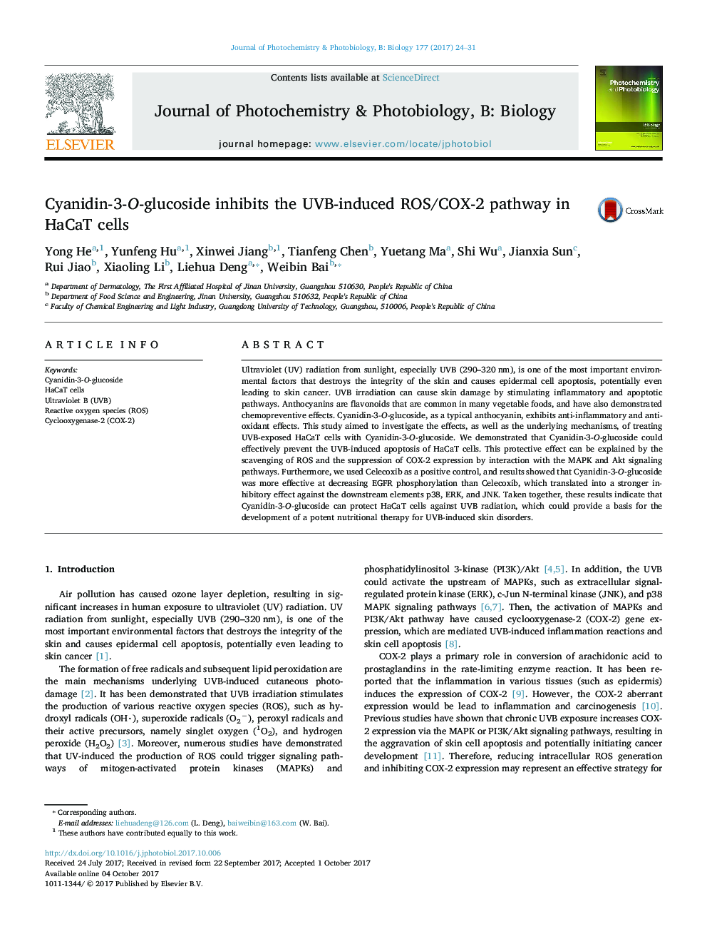 Cyanidin-3-O-glucoside inhibits the UVB-induced ROS/COX-2 pathway in HaCaT cells