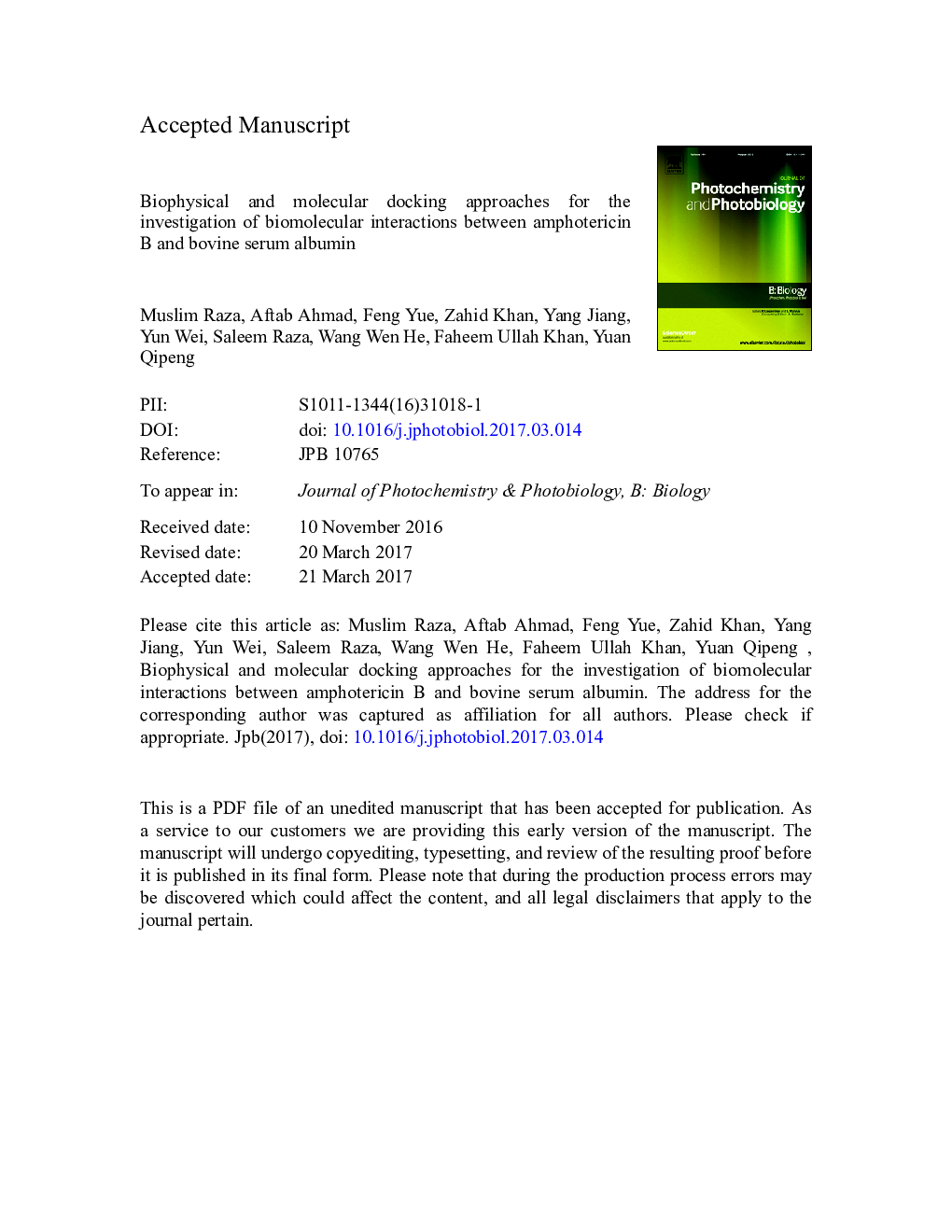 Biophysical and molecular docking approaches for the investigation of biomolecular interactions between amphotericin B and bovine serum albumin