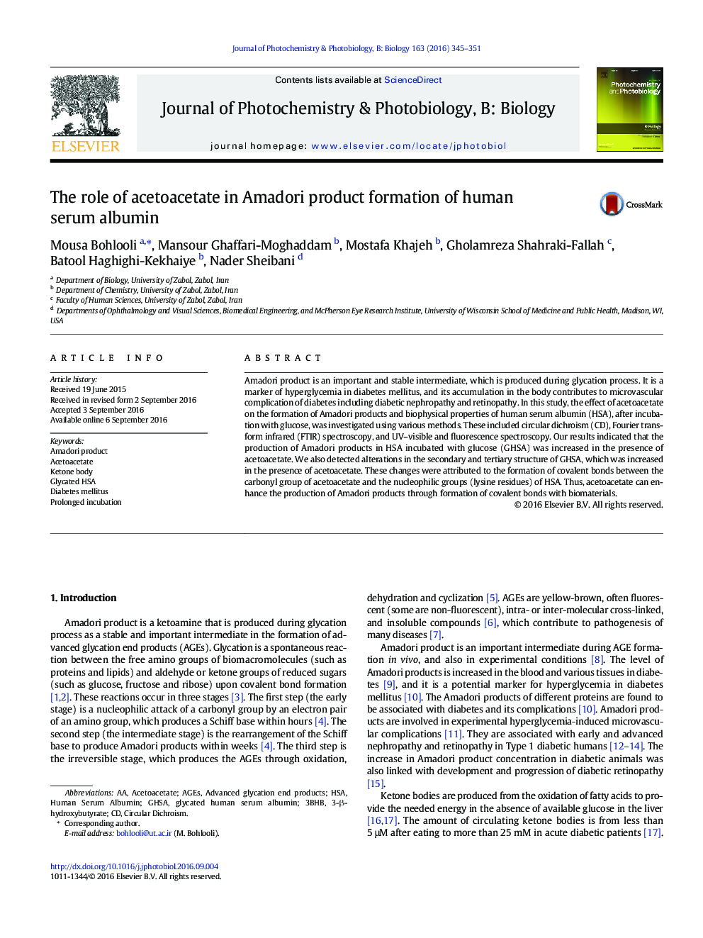 The role of acetoacetate in Amadori product formation of human serum albumin