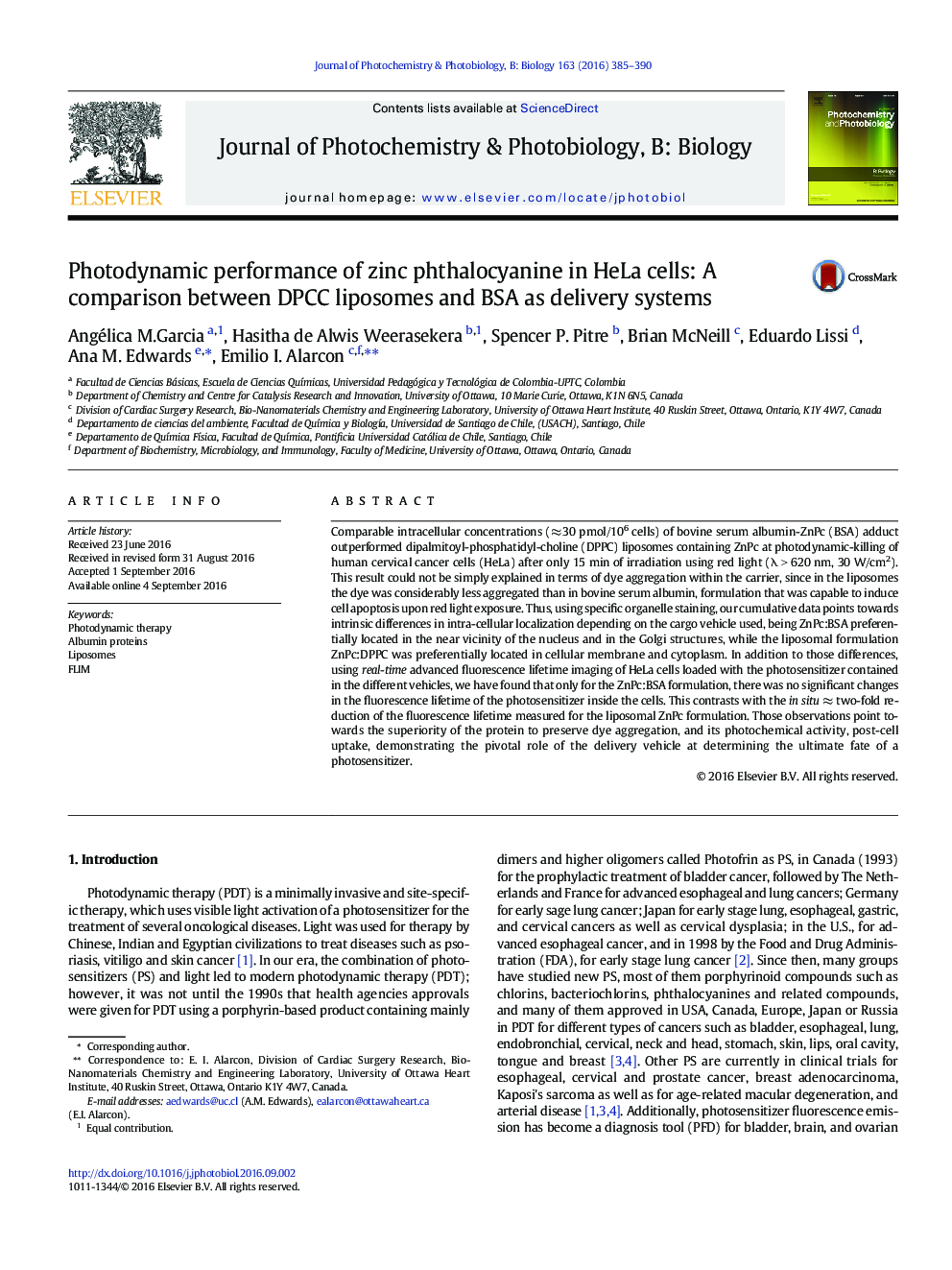 Photodynamic performance of zinc phthalocyanine in HeLa cells: A comparison between DPCC liposomes and BSA as delivery systems