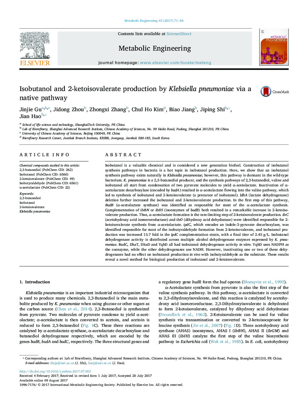 Isobutanol and 2-ketoisovalerate production by Klebsiella pneumoniae via a native pathway