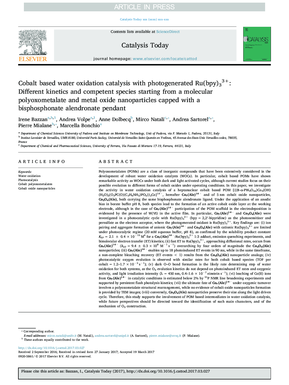 Cobalt based water oxidation catalysis with photogenerated Ru(bpy)33+: Different kinetics and competent species starting from a molecular polyoxometalate and metal oxide nanoparticles capped with a bisphosphonate alendronate pendant