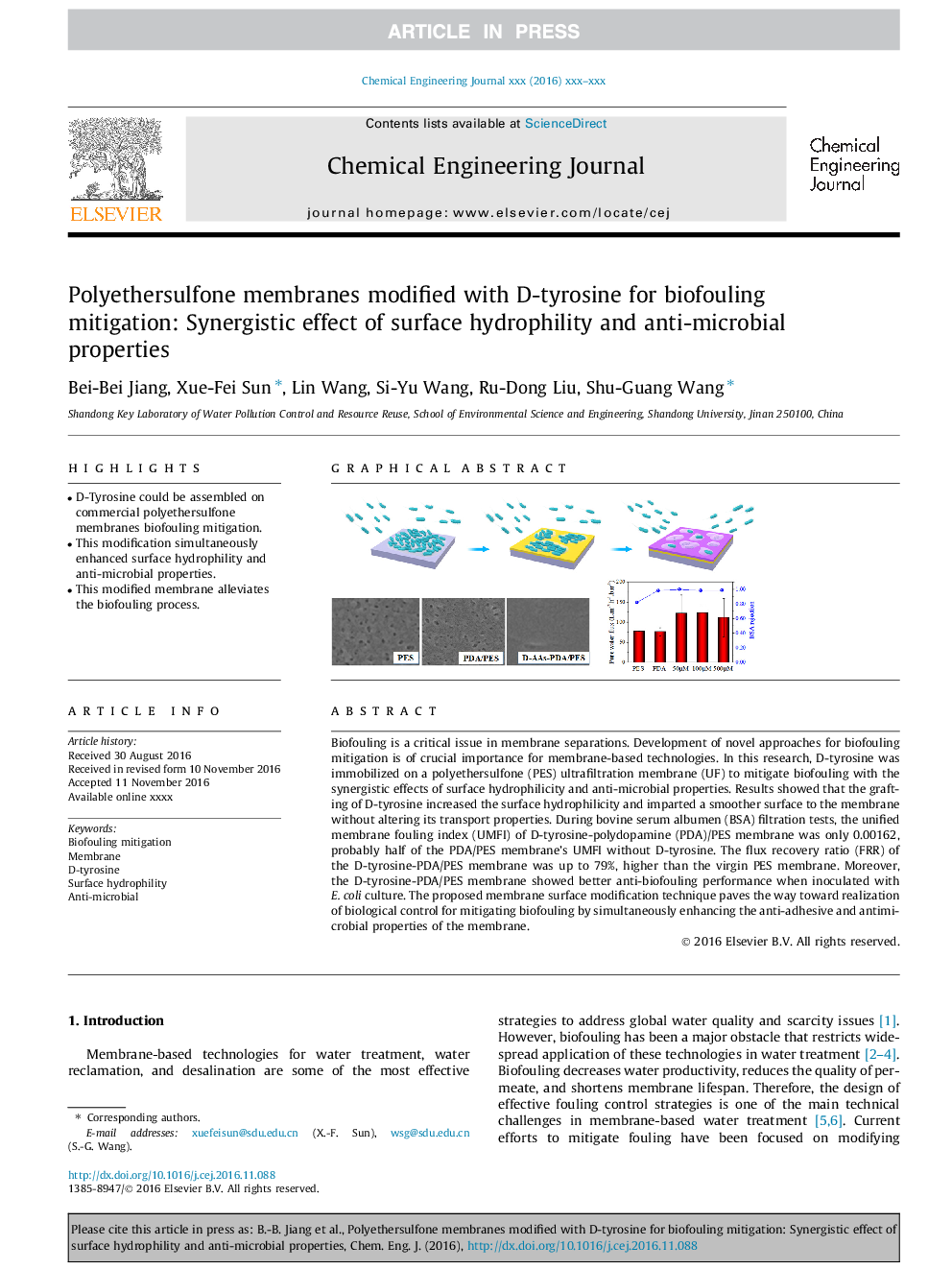 Polyethersulfone membranes modified with D-tyrosine for biofouling mitigation: Synergistic effect of surface hydrophility and anti-microbial properties