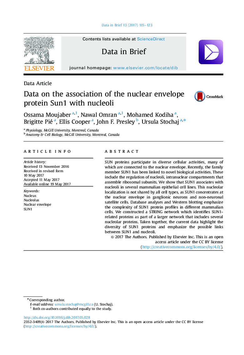 Data on the association of the nuclear envelope protein Sun1 with nucleoli