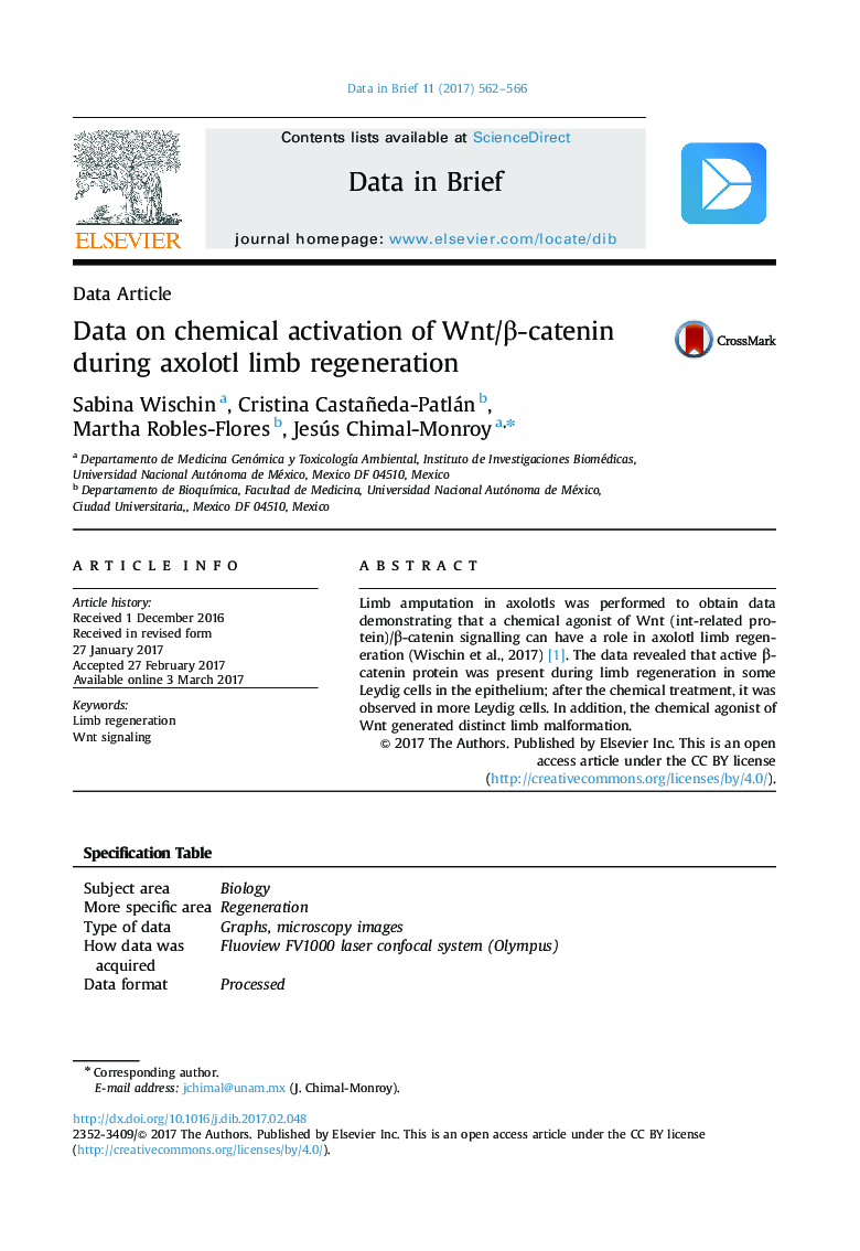Data on chemical activation of Wnt/Î²-catenin during axolotl limb regeneration