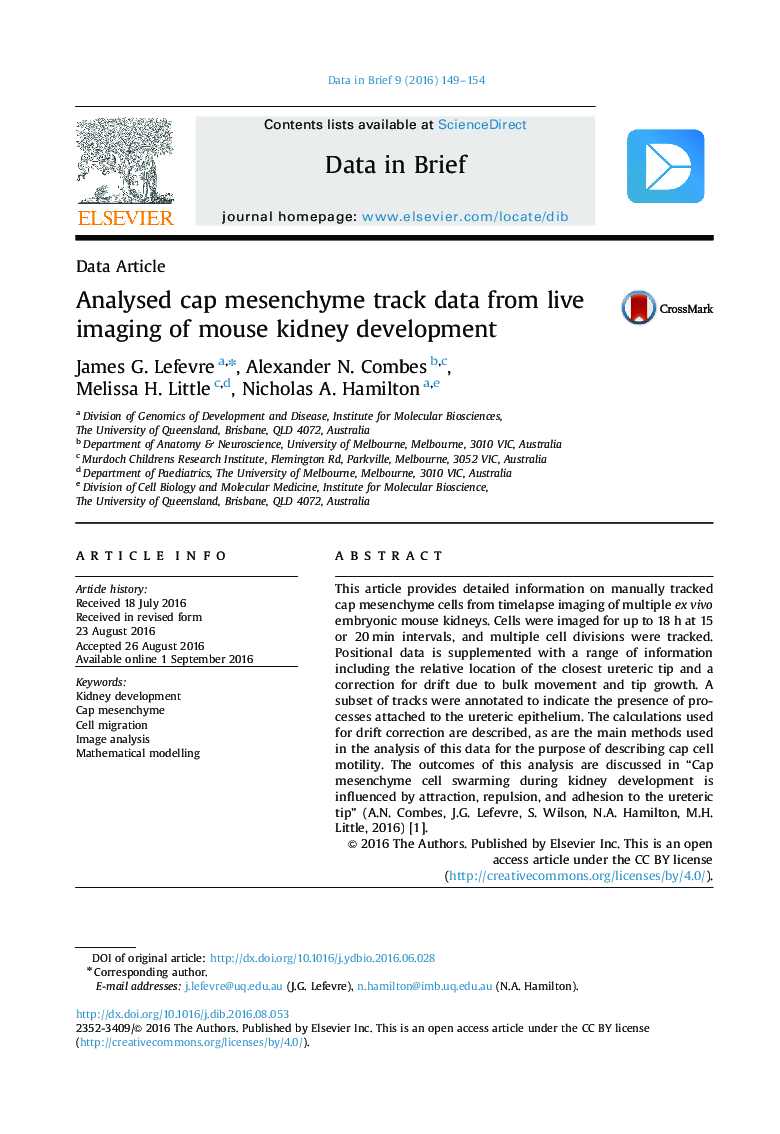 Analysed cap mesenchyme track data from live imaging of mouse kidney development