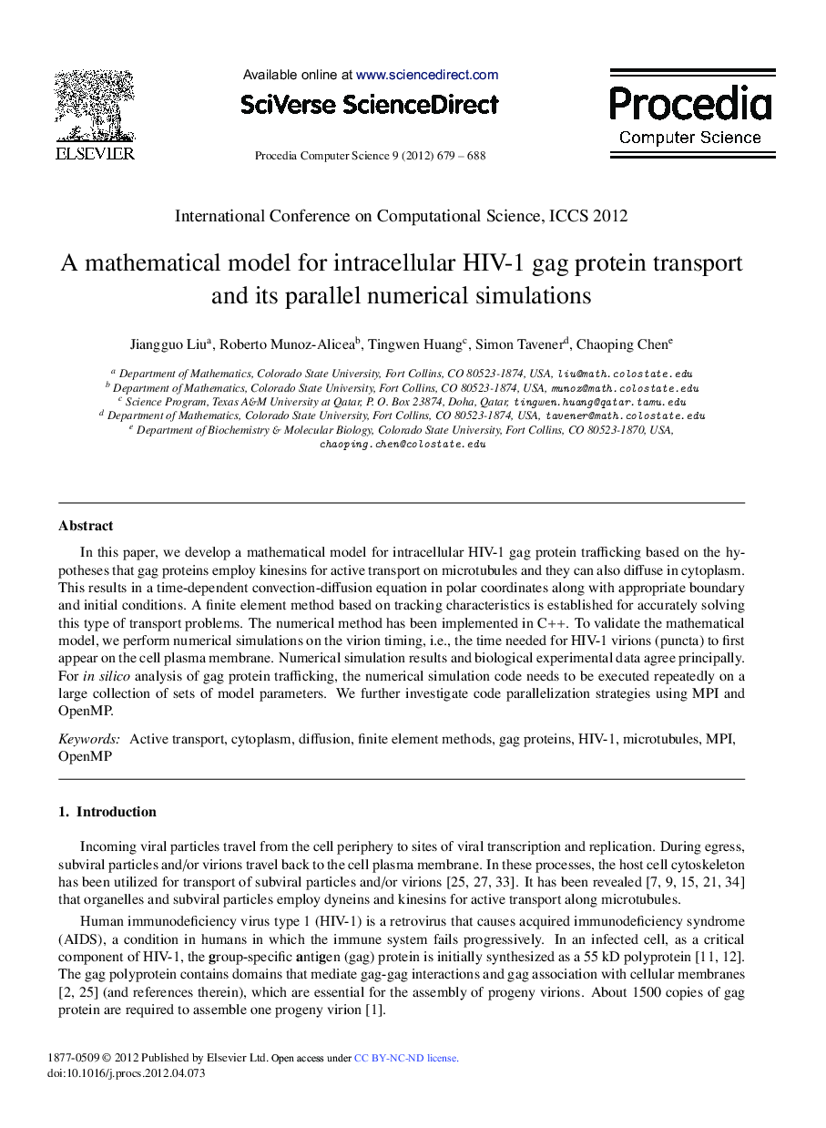 A Mathematical Model for Intracellular HIV-1 Gag Protein Transport and its Parallel Numerical Simulations